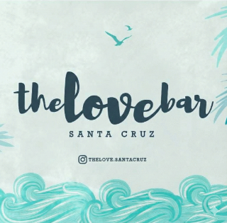 NORMA ALEJANDRA GARIN GALLEGOS